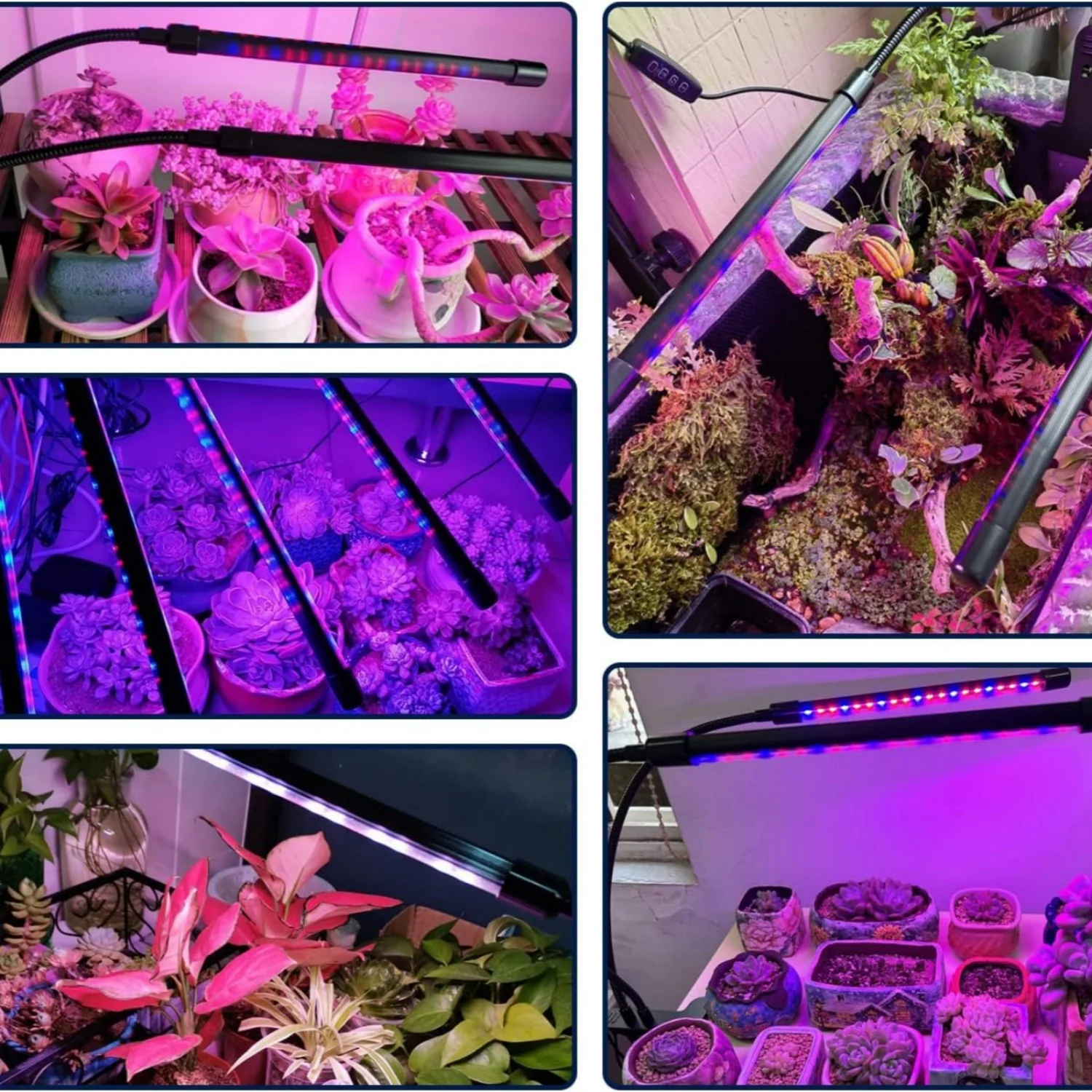 LED USB Grow Light Plants 5V Full Spectrum Light Home Flower Seedling Clip Phyto Lamp Dimmable Timing Control 3/9/12Hours 6